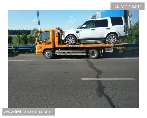 龙����������鞋：传���与现代的完美融合�